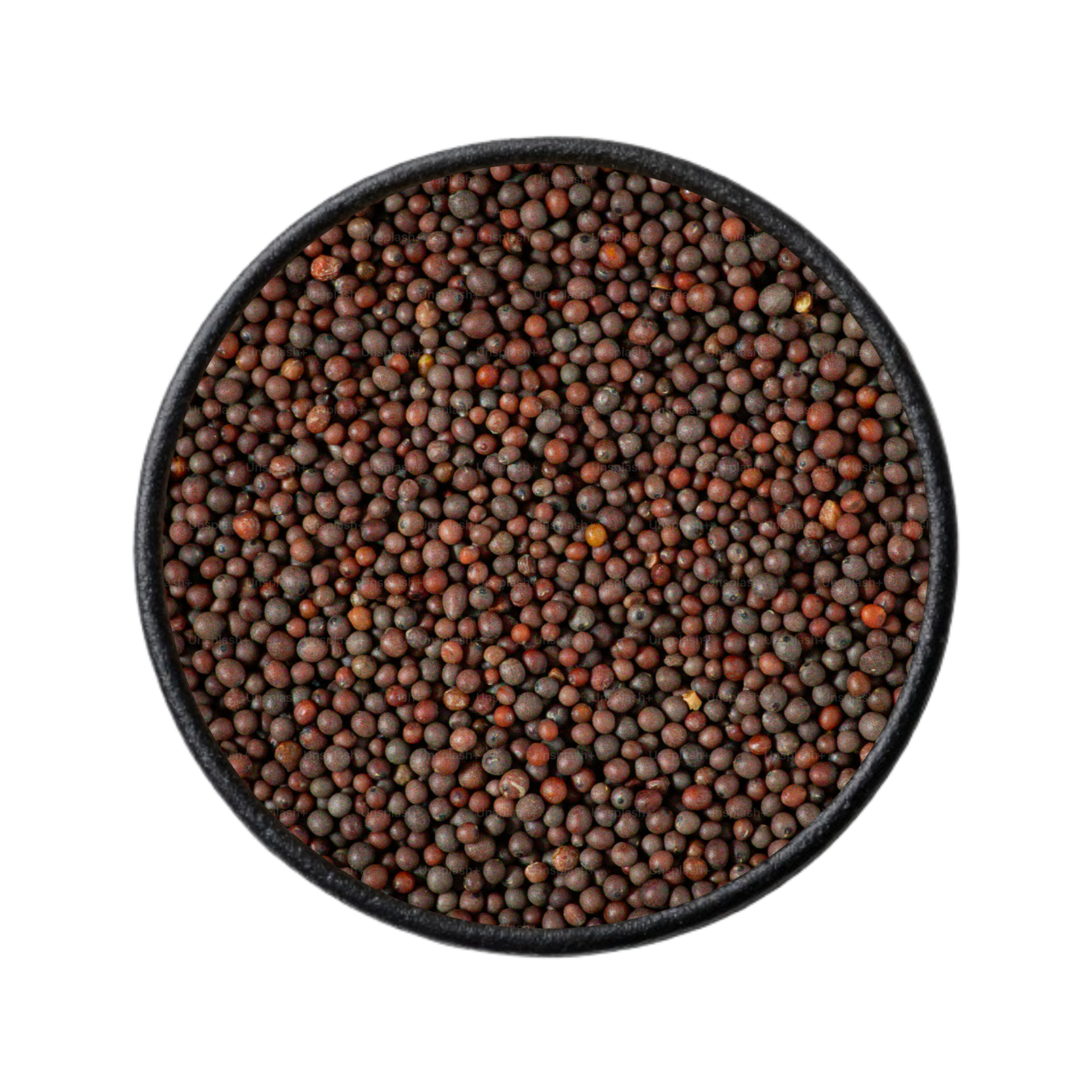 oil seeds exporter in india