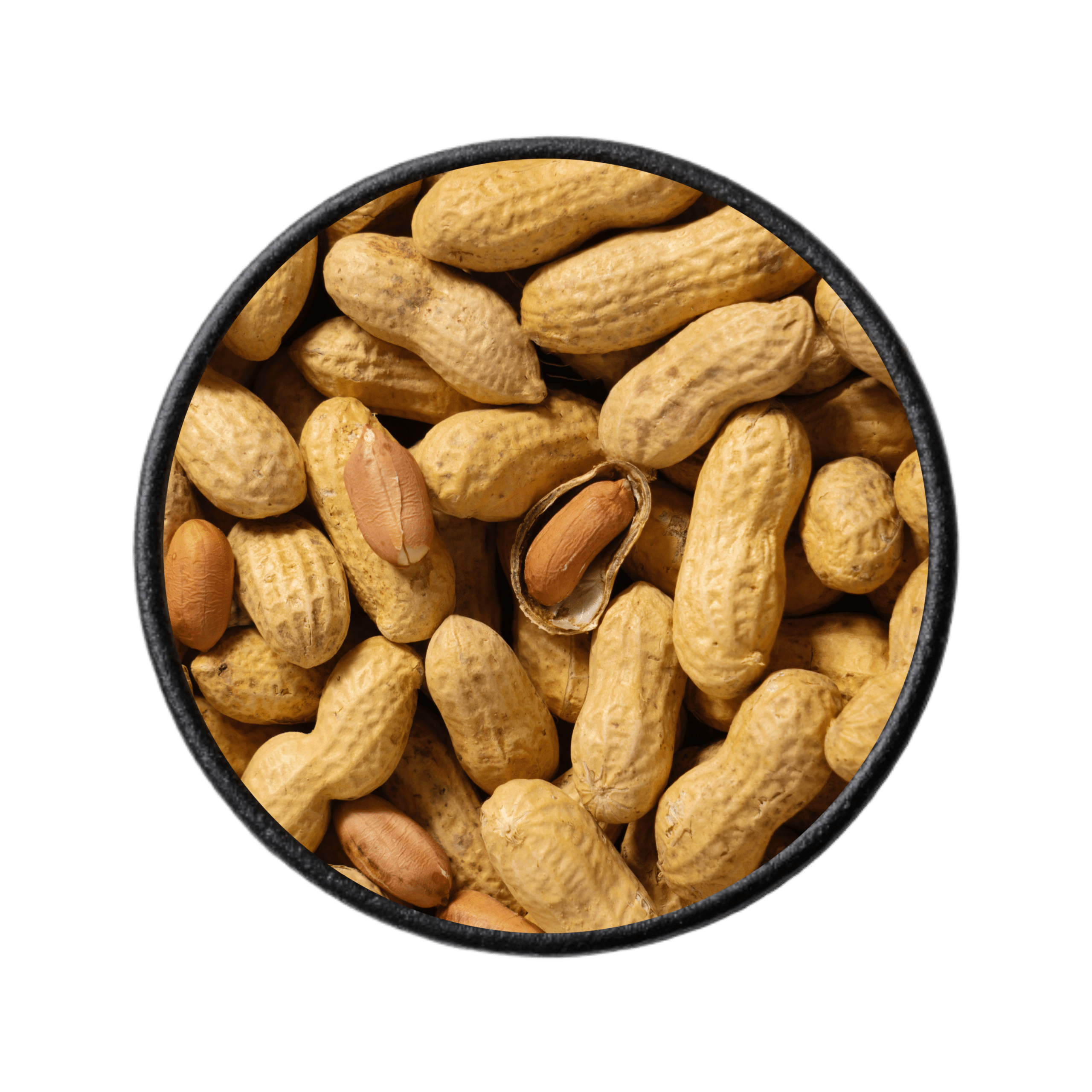 Java peanuts supplier in india