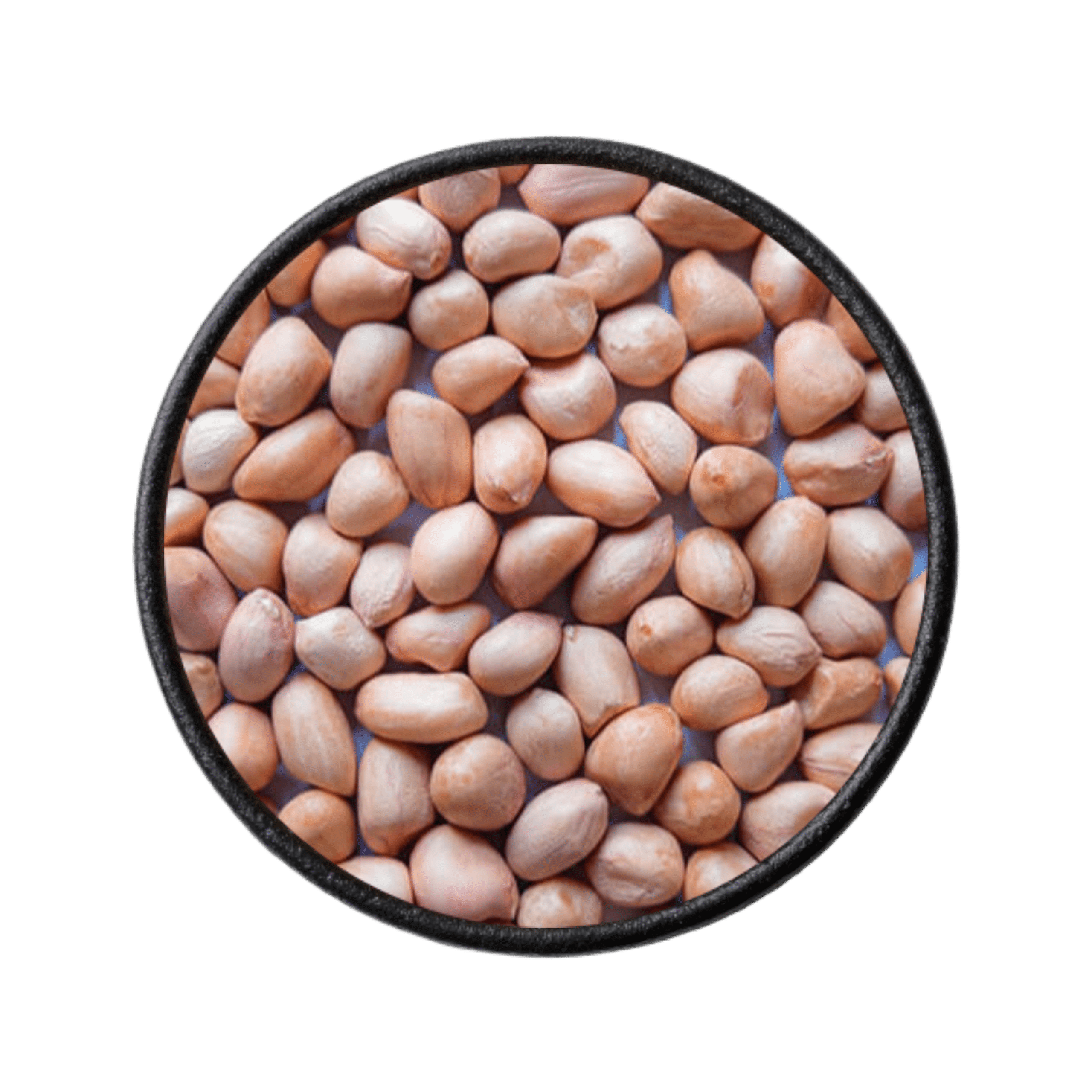 Java peanuts supplier in india