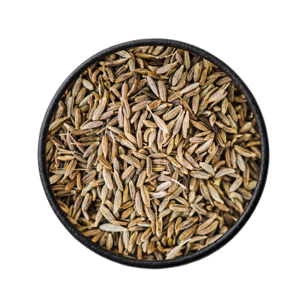 Cumin Seeds Exporter from India